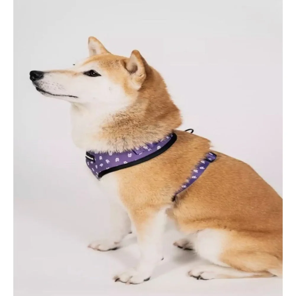 Monstercat Small Dog Harness Leash Collar Set